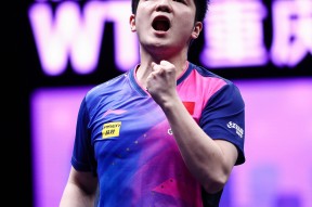 华体会体育-奥地利队轻取波兰队，樊振东刷新纪录