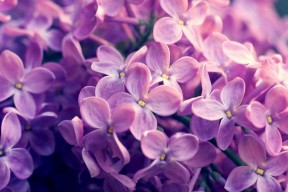 华体会app-天神下凡！布克三分如雨，开拓者主场提前终结悬念