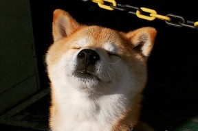 华体会网址-蓝衣门神的最后一战，2026世界杯B组，库尔图瓦如何用十指改写伊朗与意大利的命运