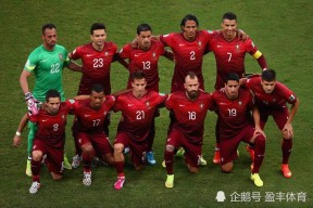 华体会hth-欧洲国家联赛:瑞典队实力突出,晋级梦想蓝图清晰的简单介绍