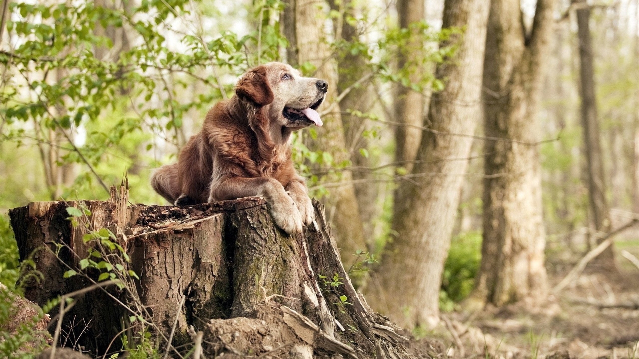 华体会app-超级替补!39岁苏亚雷斯帽子戏法导演超级逆转,国际米兰友谊赛5-4险胜韩国明星联队 第1张 华体会app-超级替补!39岁苏亚雷斯帽子戏法导演超级逆转,国际米兰友谊赛5-4险胜韩国明星联队 第1张