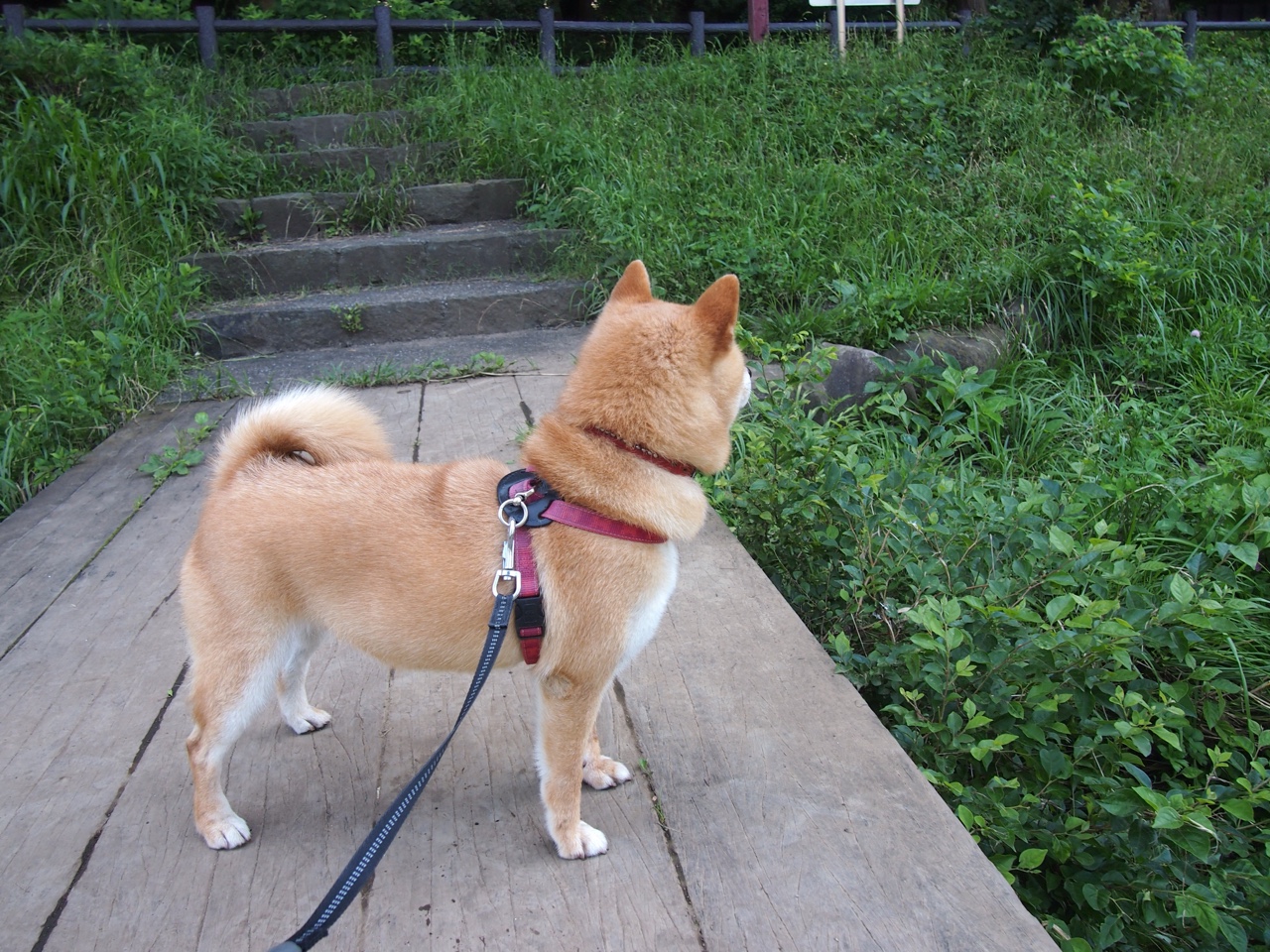 华体会登录-伯纳乌斗牛士的黄昏，阿尔及利亚铁卫阿坎吉提前终结悬念，马德里竞技饮恨关键战  第1张